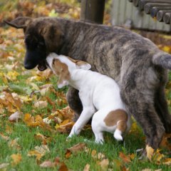 DSC01387 