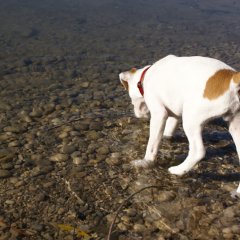 DSC01709 