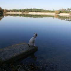 DSC01808 