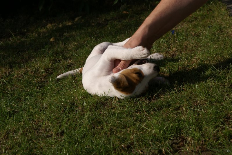 DSC00503 
