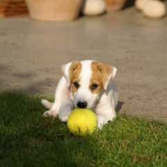 DSC00408 