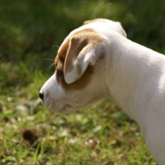 DSC00478 