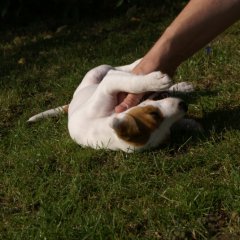 DSC00503 