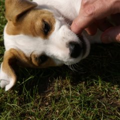 DSC00507 