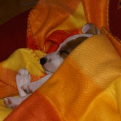 DSC00624 