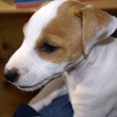 DSC00999 