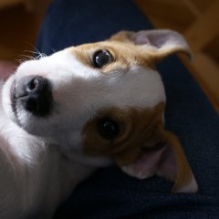 DSC01002 