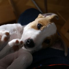 DSC01005 