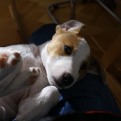 DSC01006 
